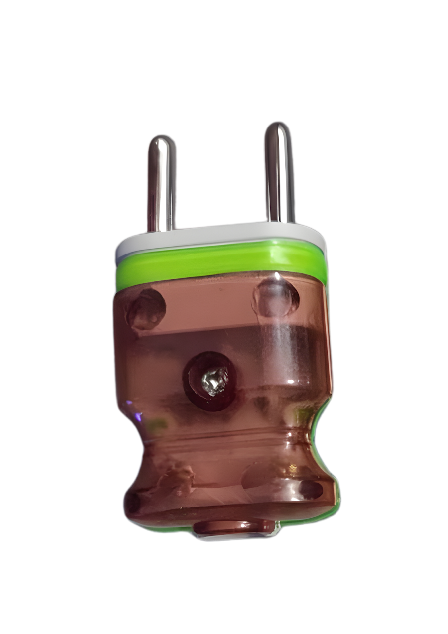 2 Pin Plug
